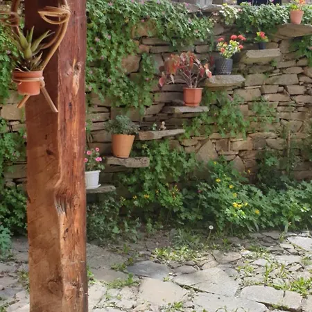 Maison d'hôtes кюпова къща Kovačevica